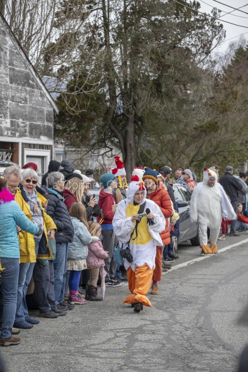 Edison Chicken Parade: Feb. 23, 2025