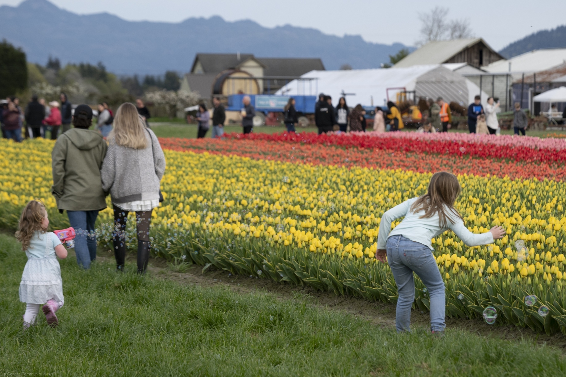 Photos from Locals Night at Tulip Town