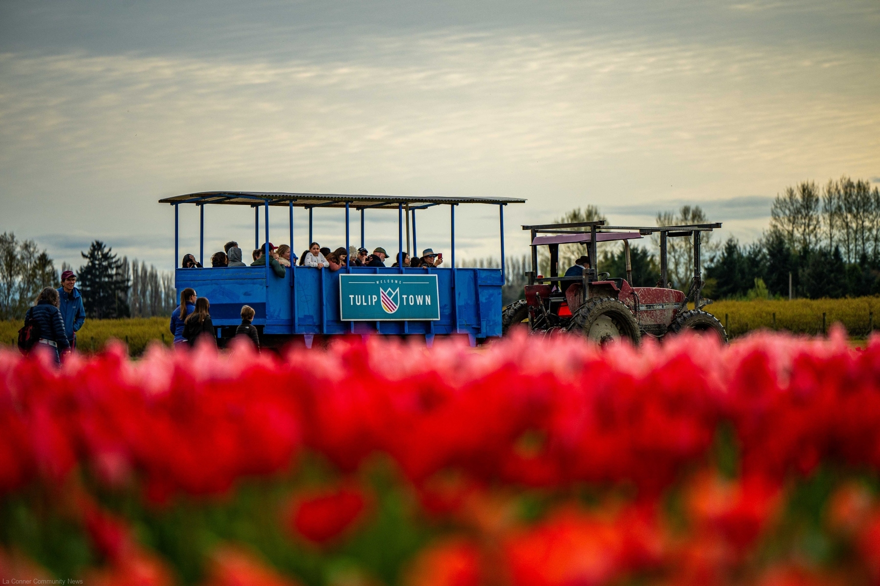 Photos from Locals Night at Tulip Town