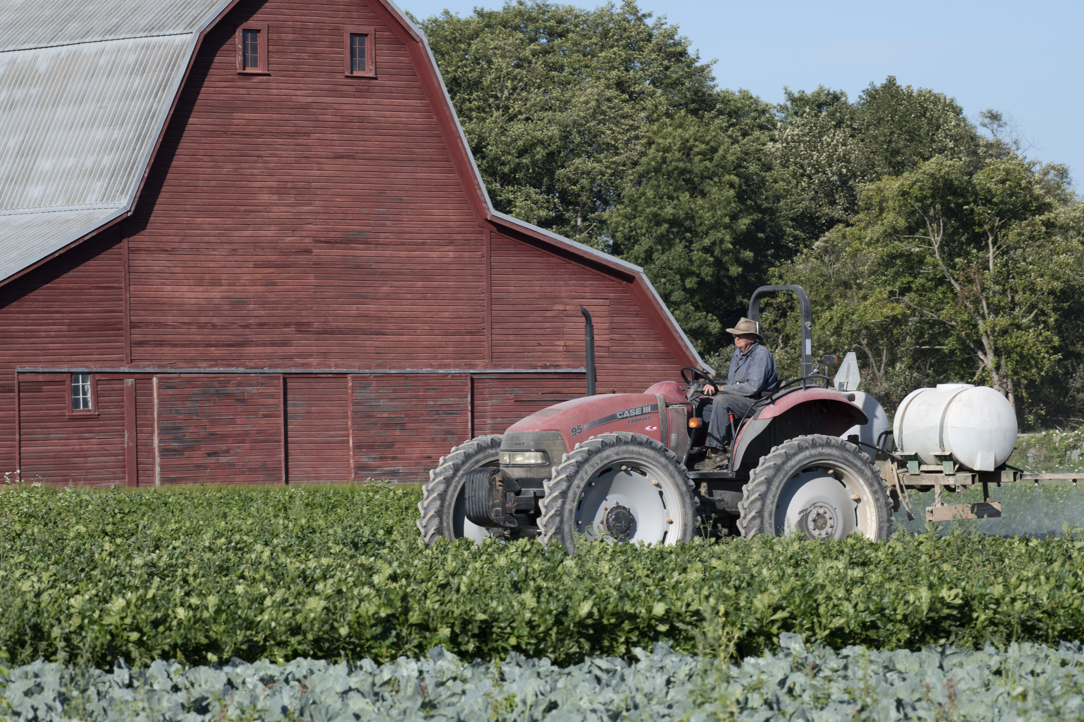 Dave Hedlin retires after 37 years of protecting Skagit farmland
