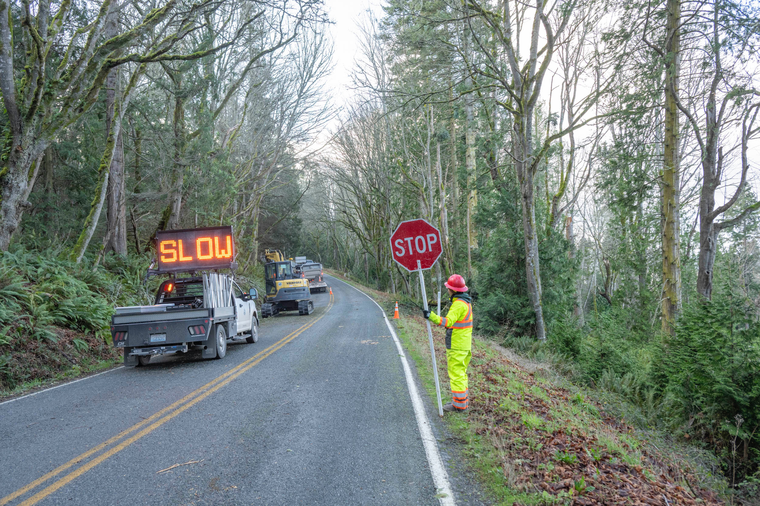 Dams, dikes and a dose of luck