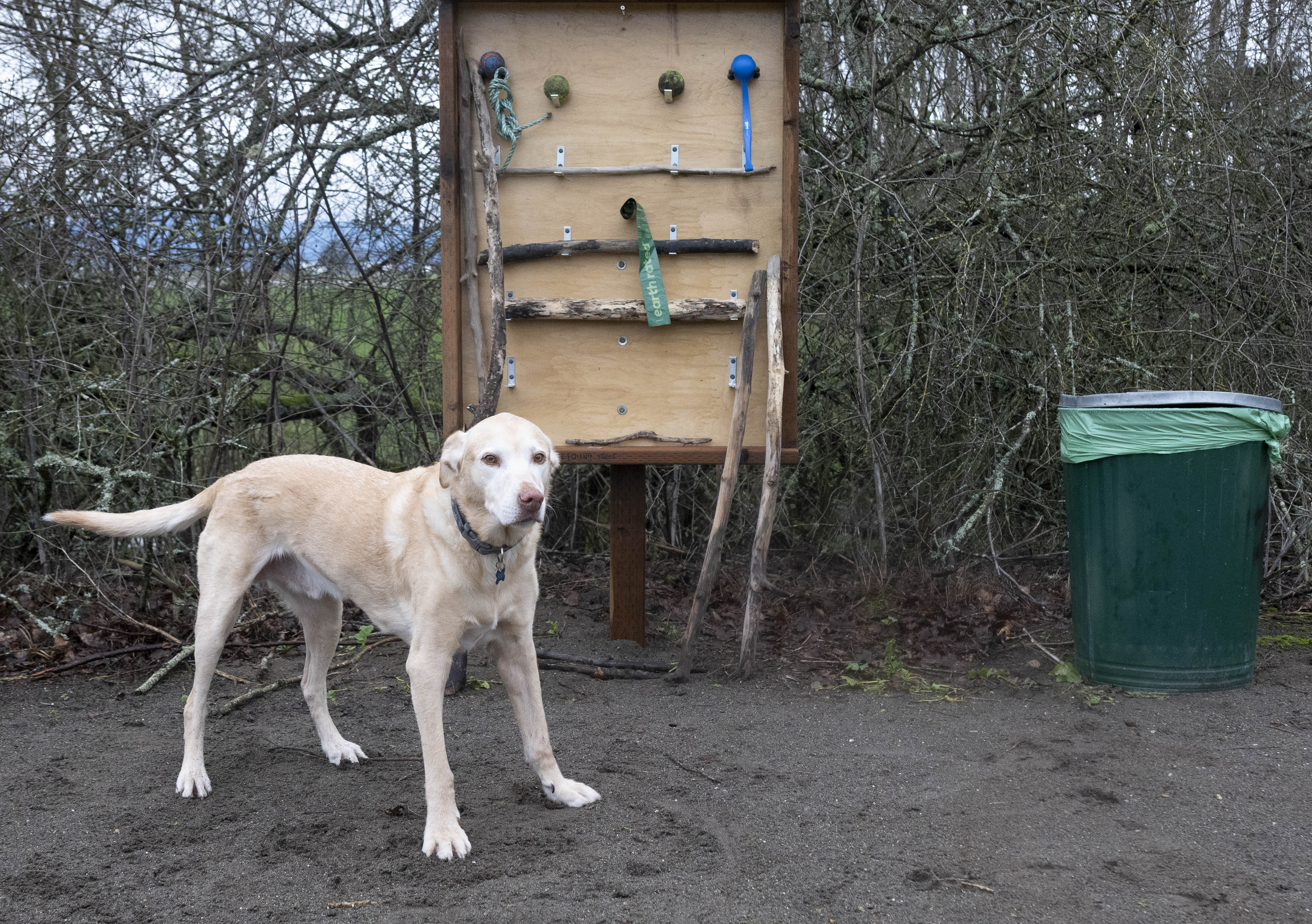 A gift from the goodest boy