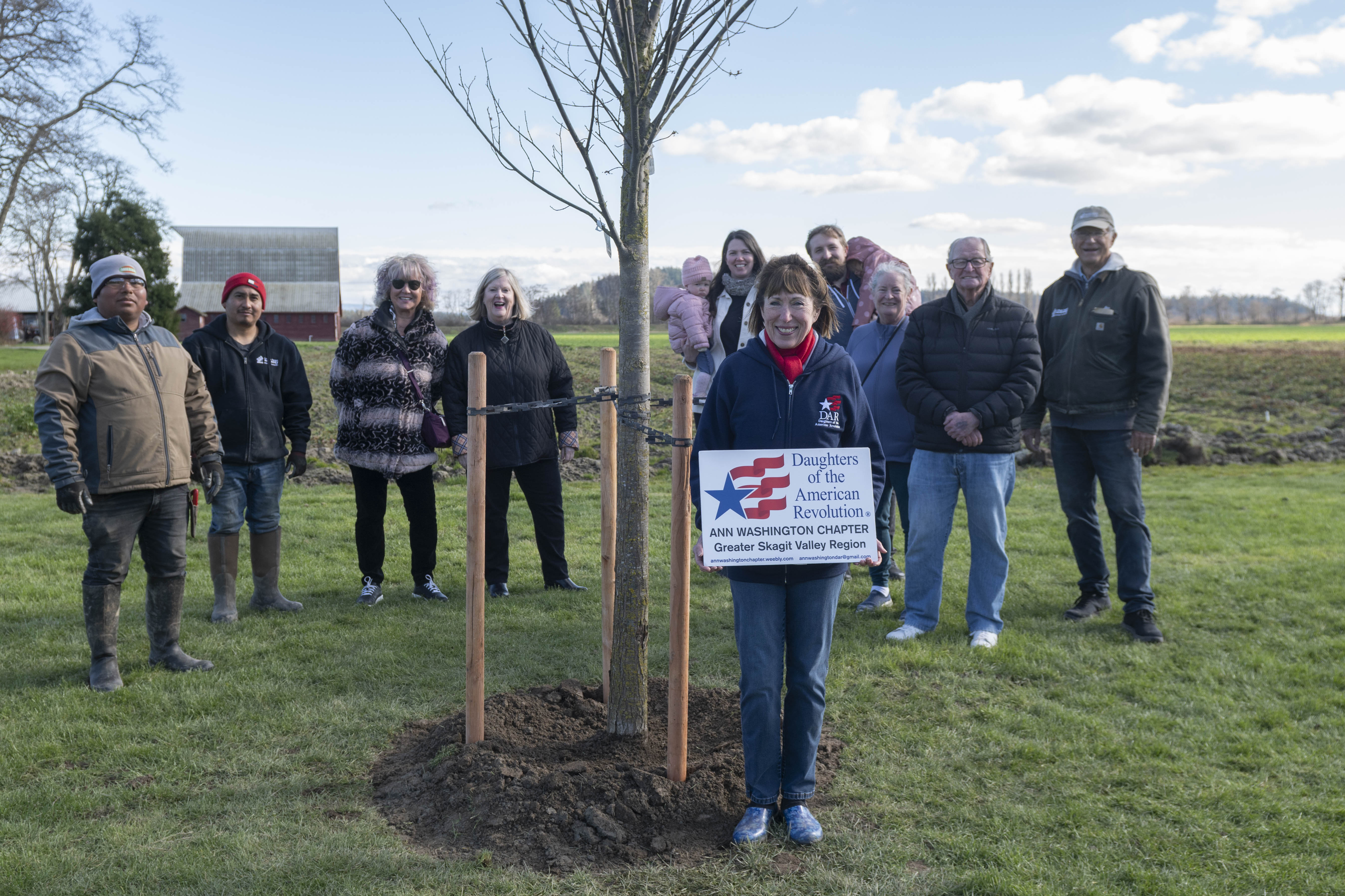 La Conner plants liberty tree to mark 250th anniversary of the Declaration of Independence
