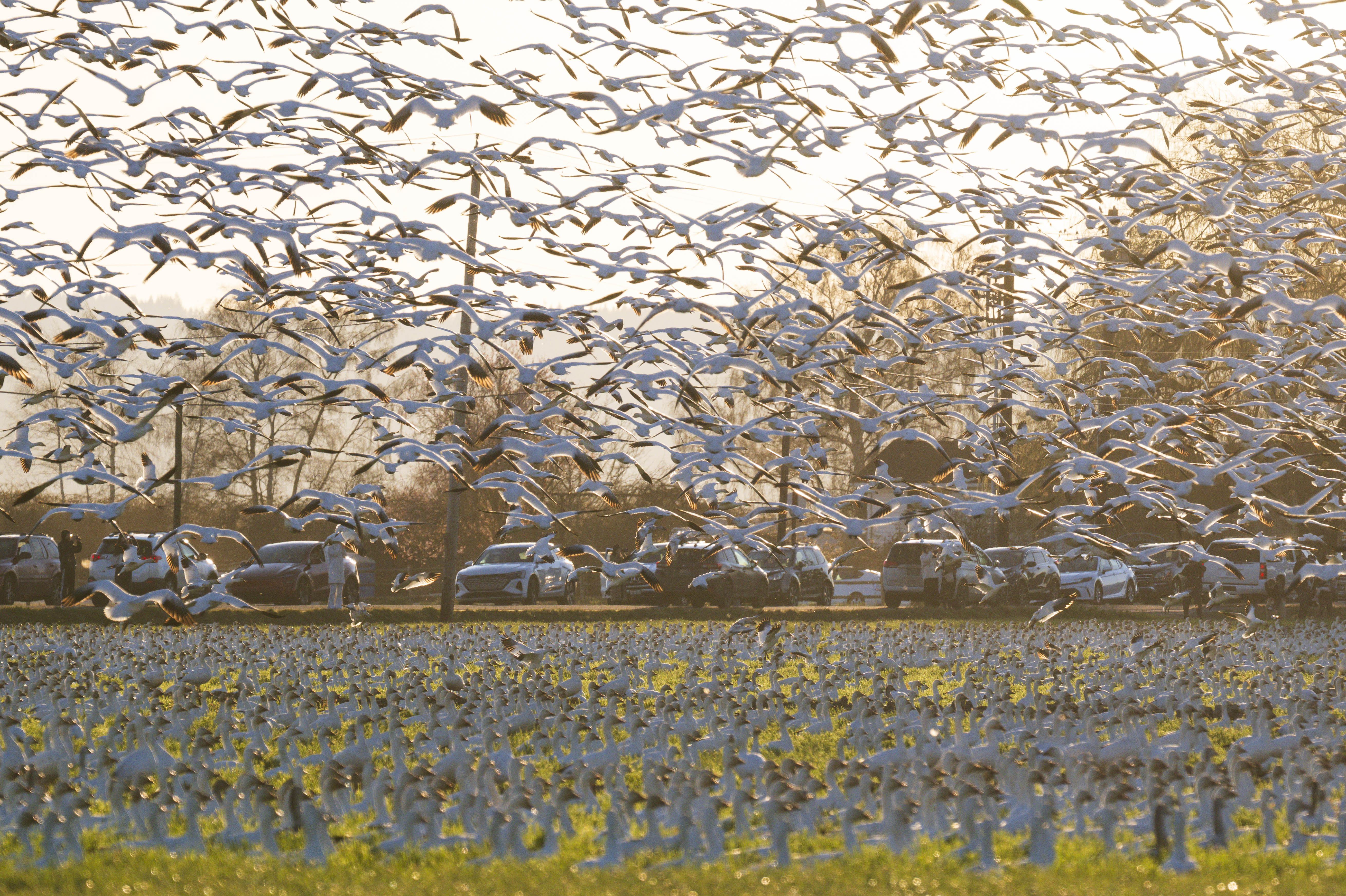 Etiquette (or how to not be THAT tourist)