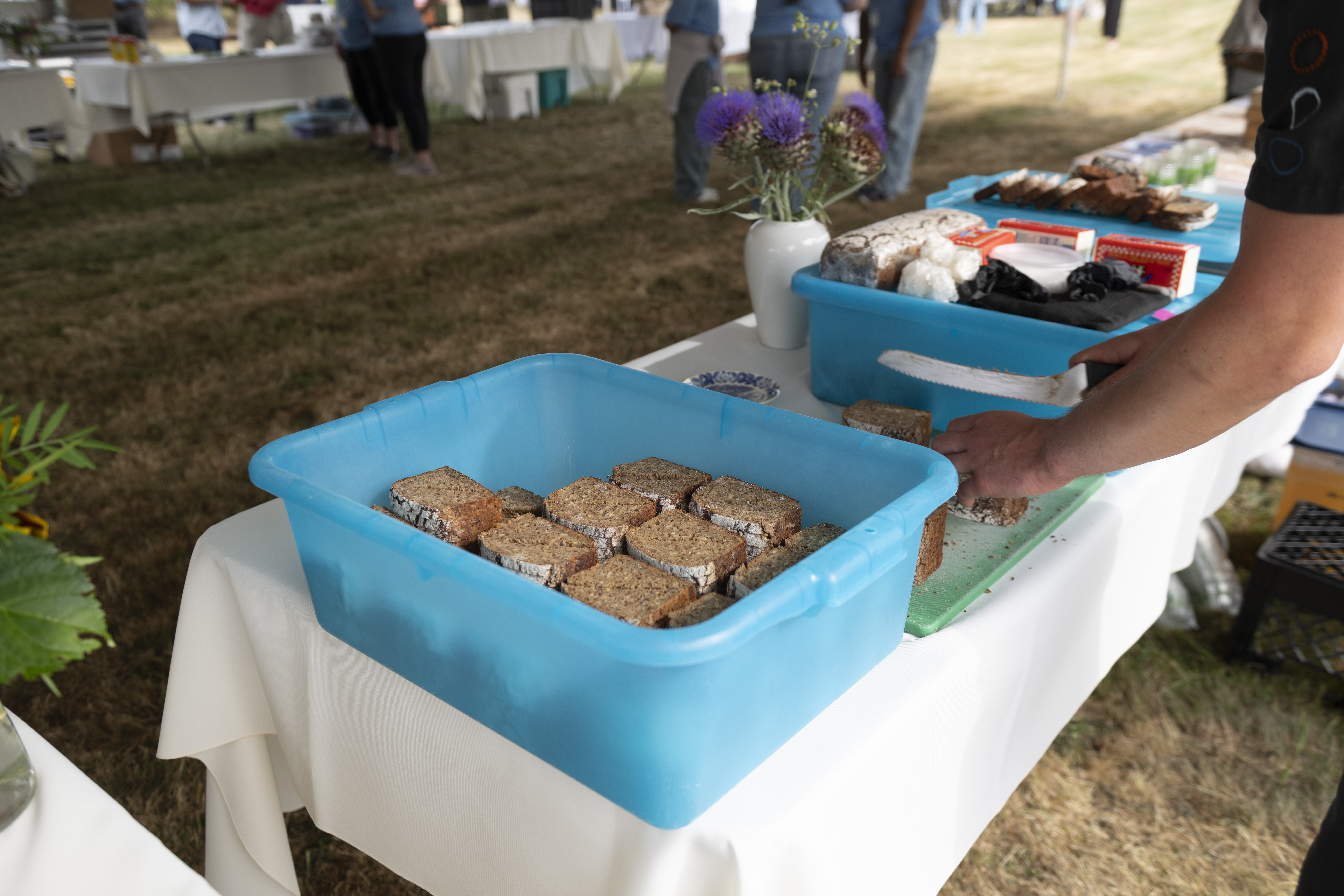 Beyond bread: Global whole grain advocates meet at Skagit event